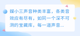 媒小三声音种类丰富，各类音效应有尽有，满足你的多样需求！