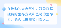 鳄鱼油提取全过程：步骤详解与技巧，轻松掌握！