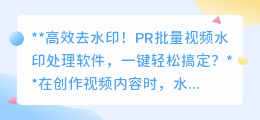 高效去水印！PR批量视频水印处理软件，一键轻松搞定？