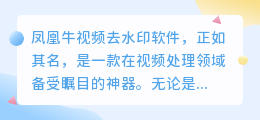 凤凰牛视频去水印软件：高效去除水印，轻松畅享无水印视频？