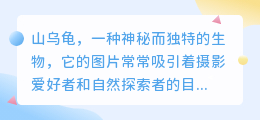 山乌龟图片去水印技巧：PS轻松搞定，让你的图片更完美！