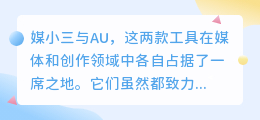 媒小三与AU，究竟有何不同？功能差异解析！