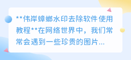 伟岸蟑螂水印去除软件使用教程或方法