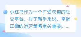 小红书新手运营全攻略：策略、优势与常见误区解析