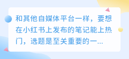 如何在小红书上选题并上热门？实用选题软件与技巧分享