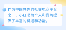 新手必看！如何高效开设和运营小红书店铺