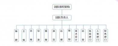 直播团队通常包括哪些核心角色？全面解析团队构成