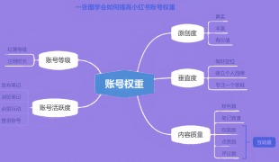 如何通过多维数据标签提升小红书账号权重？