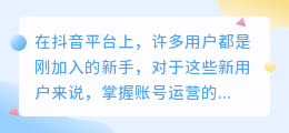 抖音新手如何起步？全面指南助你轻松入门运营技巧