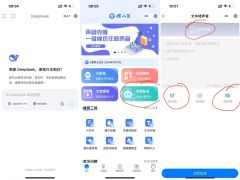 DeepSeek AI怎么用？详细教程+实操演示！